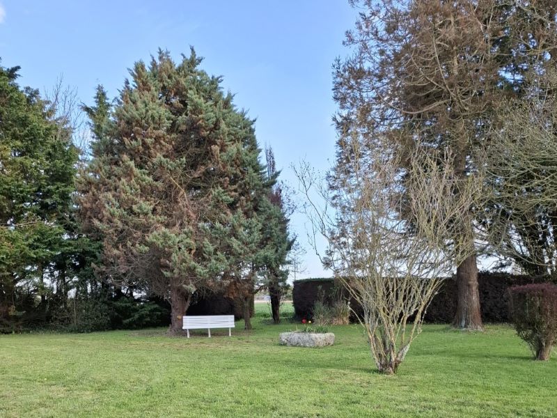 Meublé de tourisme > les campanules, Sainte-Geneviève - photo 10