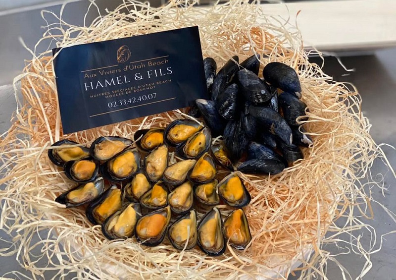 Aux Viviers d'Utah Beach - photo 4