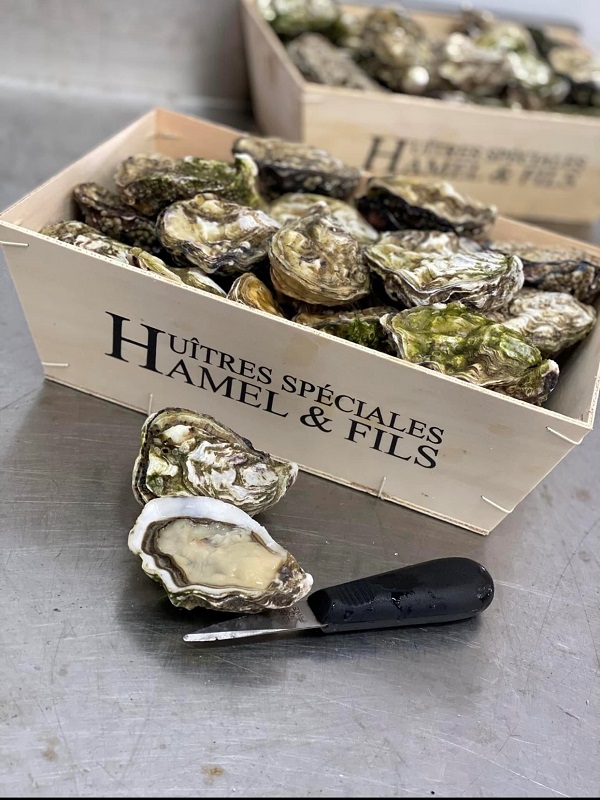 Aux Viviers d'Utah Beach - photo 3