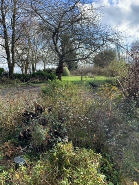 Chambres d'Hôtes > L'Entre Deux, Sartilly-Baie-Bocage - photo 17