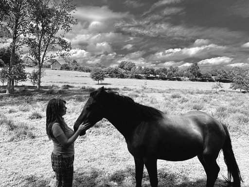 Éco Ferme Pédagogique de Chambesne Centre Equi Social, Savigny-le-Vieux - photo 2
