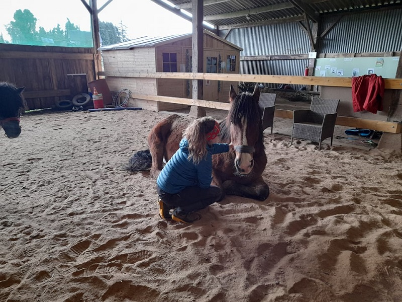 Éco Ferme Pédagogique de Chambesne Centre Equi Social, Savigny-le-Vieux