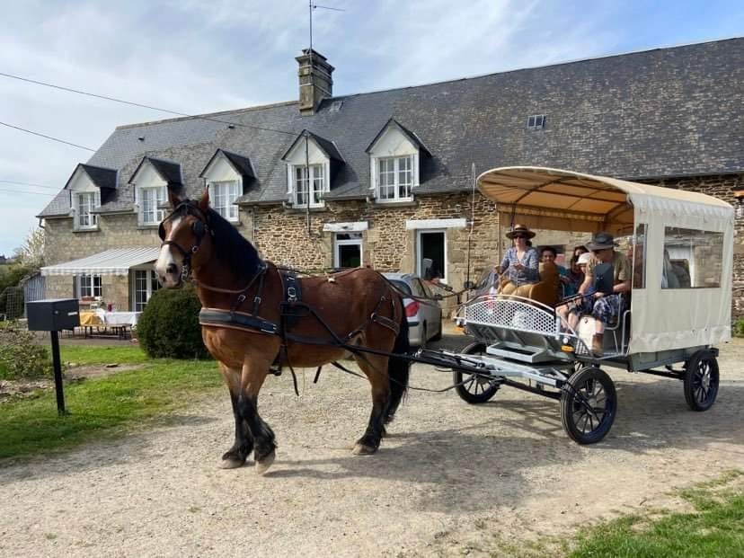 Éco Ferme Pédagogique de Chambesne Centre Equi Social, Savigny-le-Vieux - photo 8
