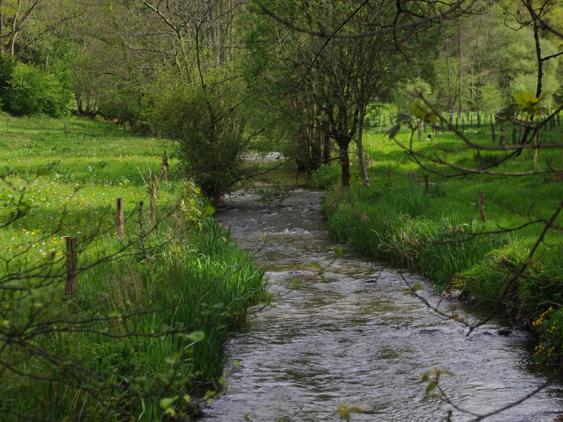 Le sentier des jonquilles, Souleuvre en Bocage - photo 5