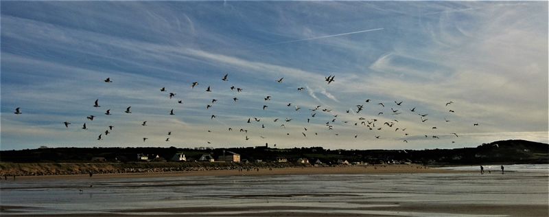 Meublé de tourisme > L'Amphore, Siouville-Hague - photo 13