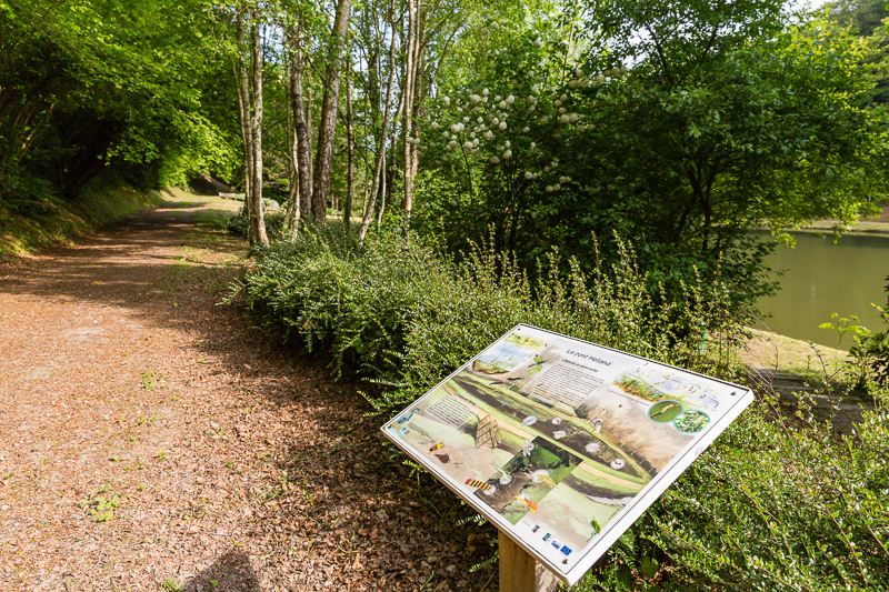 Camping municipal de Clairefontaine, Siouville-Hague - photo 4