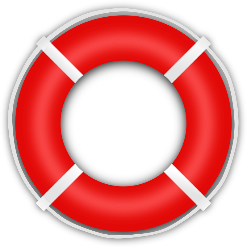 Journée nationale du sauvetage