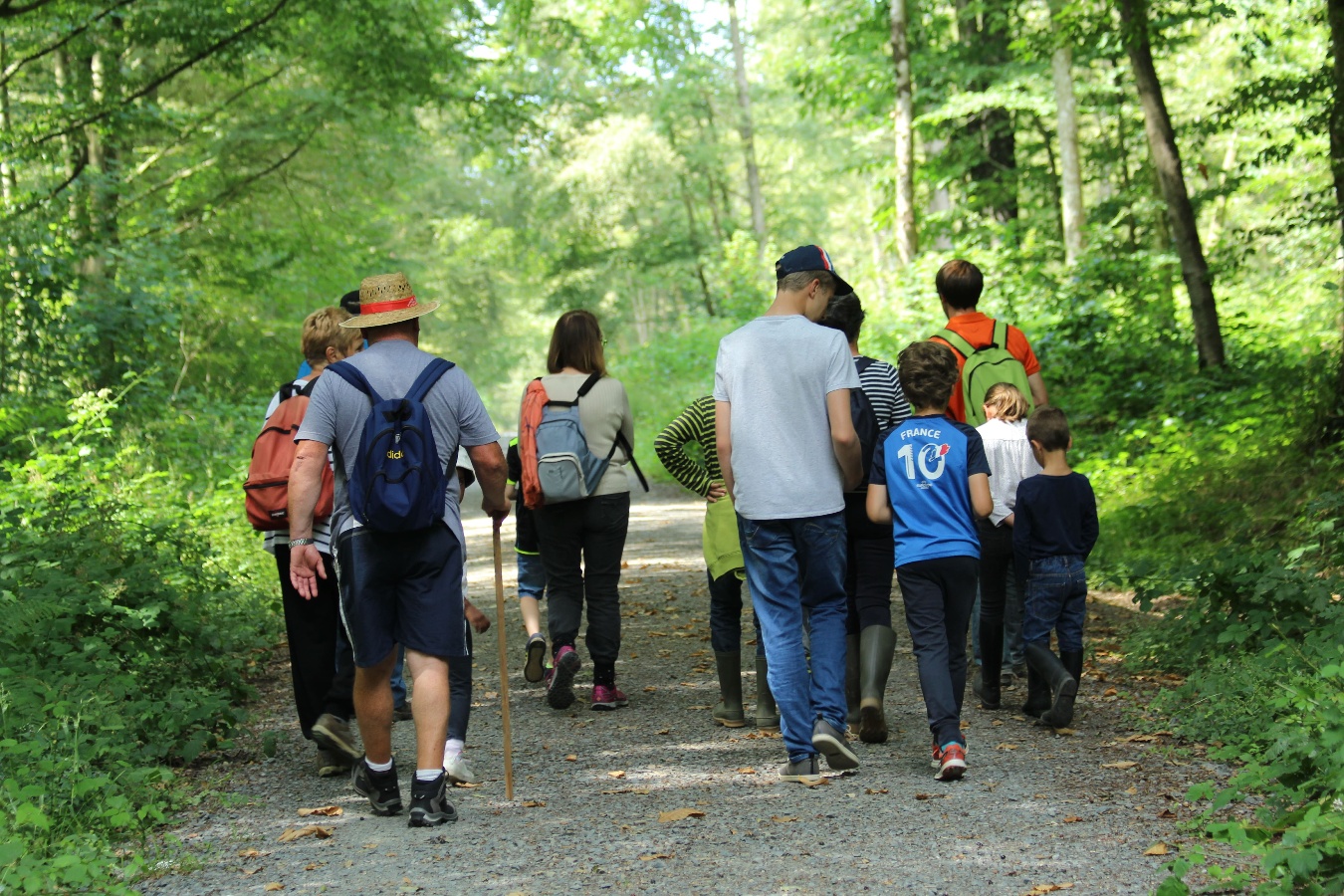GROUPE adulte et ado - Visite en forêt de Cerisy