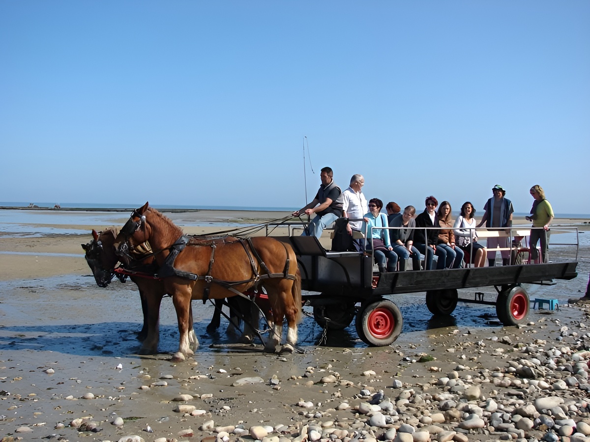 GROUPE - Visite guidée en attelage sur Isigny-Omaha — photo 3