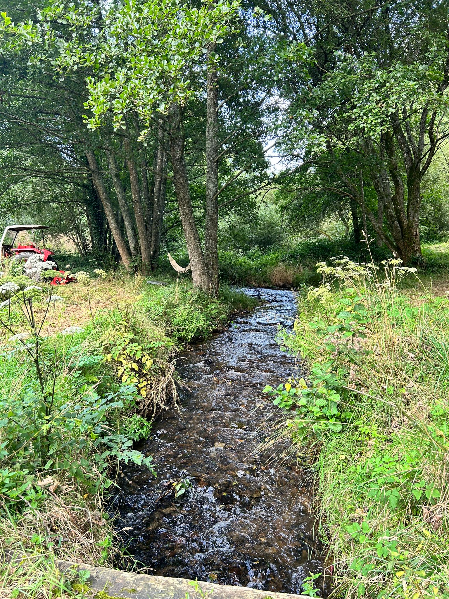 Chambres d'hôtes > Charming cottage, Sourdeval - photo 4