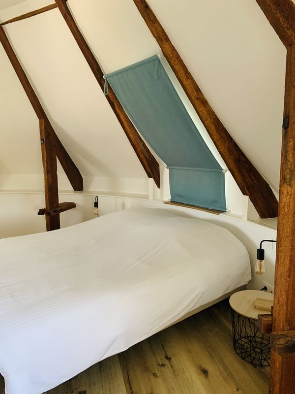 Chambres d'hôtes Vaugoubert > La Ruby et La Rita, Saint-Germain-de-Varreville - photo 10