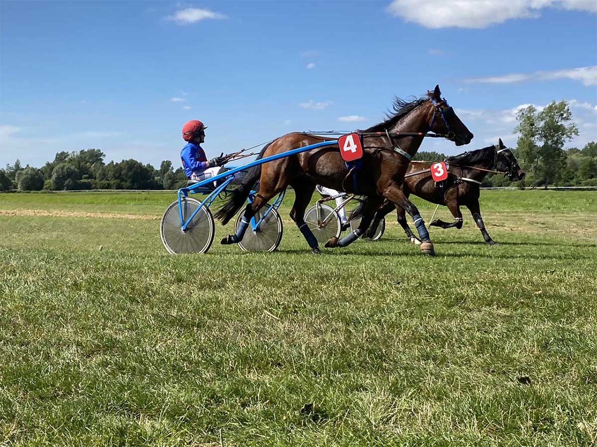 Ecurie Trot à Poney 14