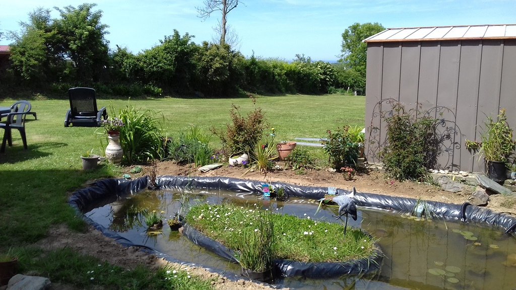Chambre d'Hôtes > L'Herbage, Surtainville - photo 3