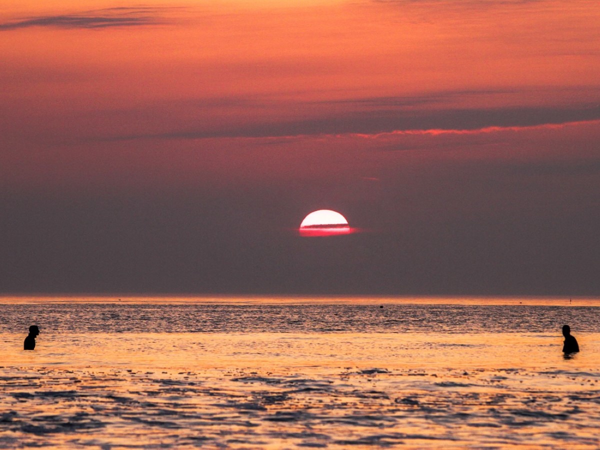 Ecole de Surf > Surtain Surf, Surtainville - photo 8