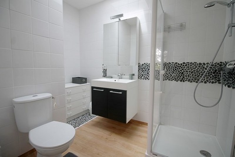 Meublé de tourisme > Mer et Piscine, Surtainville - photo 5