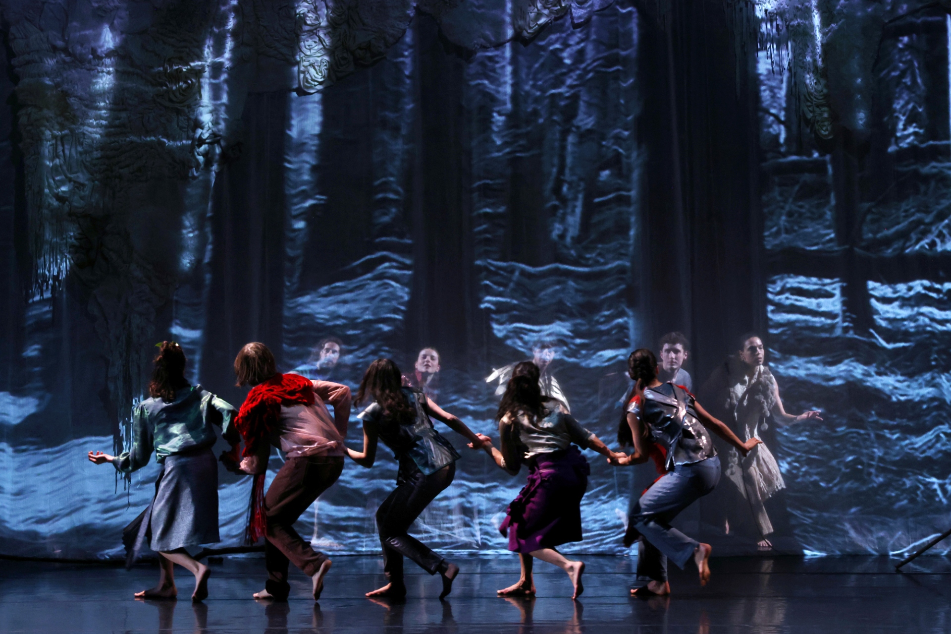 Danses en image