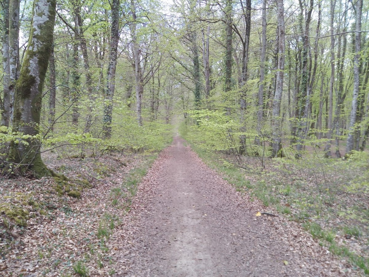 Randonnée Autour de la Drôme, Balleroy-sur-Drôme - photo 2