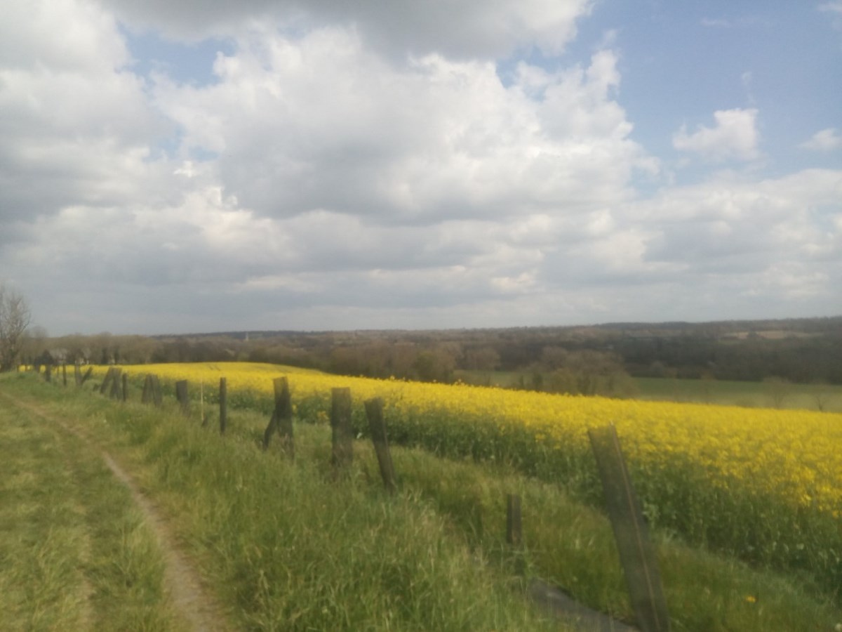 Randonnée Autour de la Drôme, Balleroy-sur-Drôme - photo 3