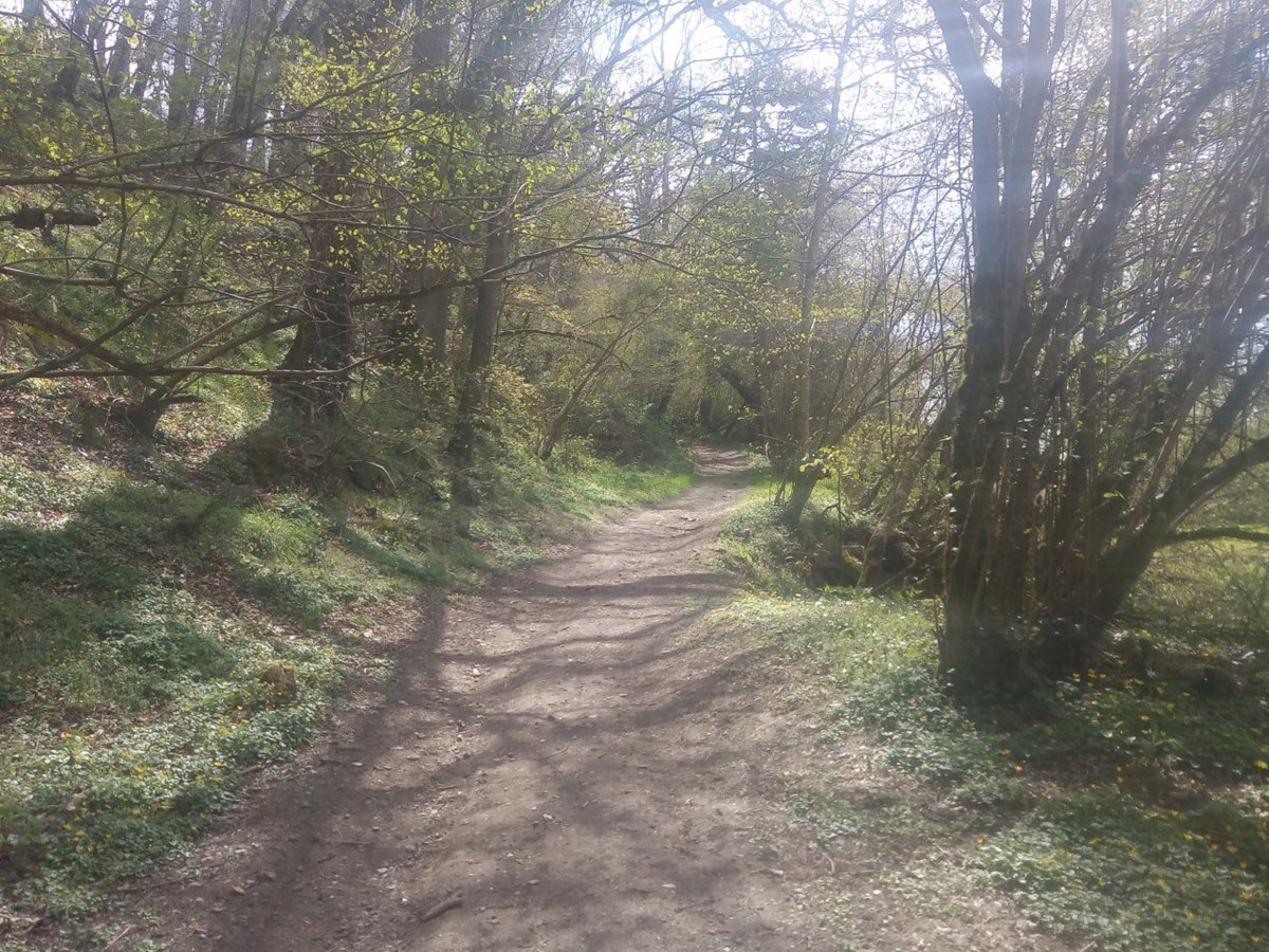 Randonnée Autour de la Drôme, Balleroy-sur-Drôme - photo 4