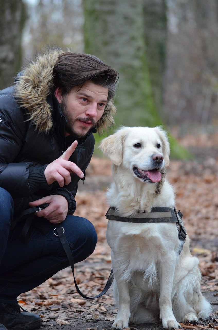 Promener son chien : Les clés pour comprendre les codes du quotidien. — visuel événement