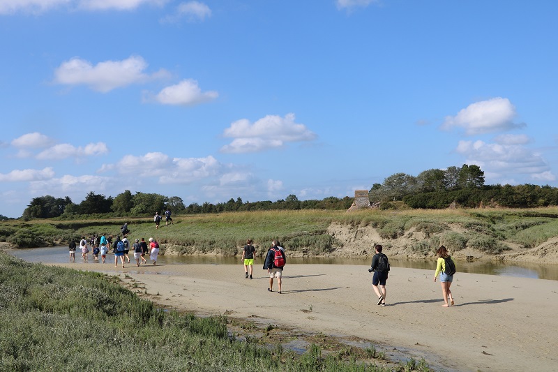 Sortie nature : Traversée du havre de l'Ay