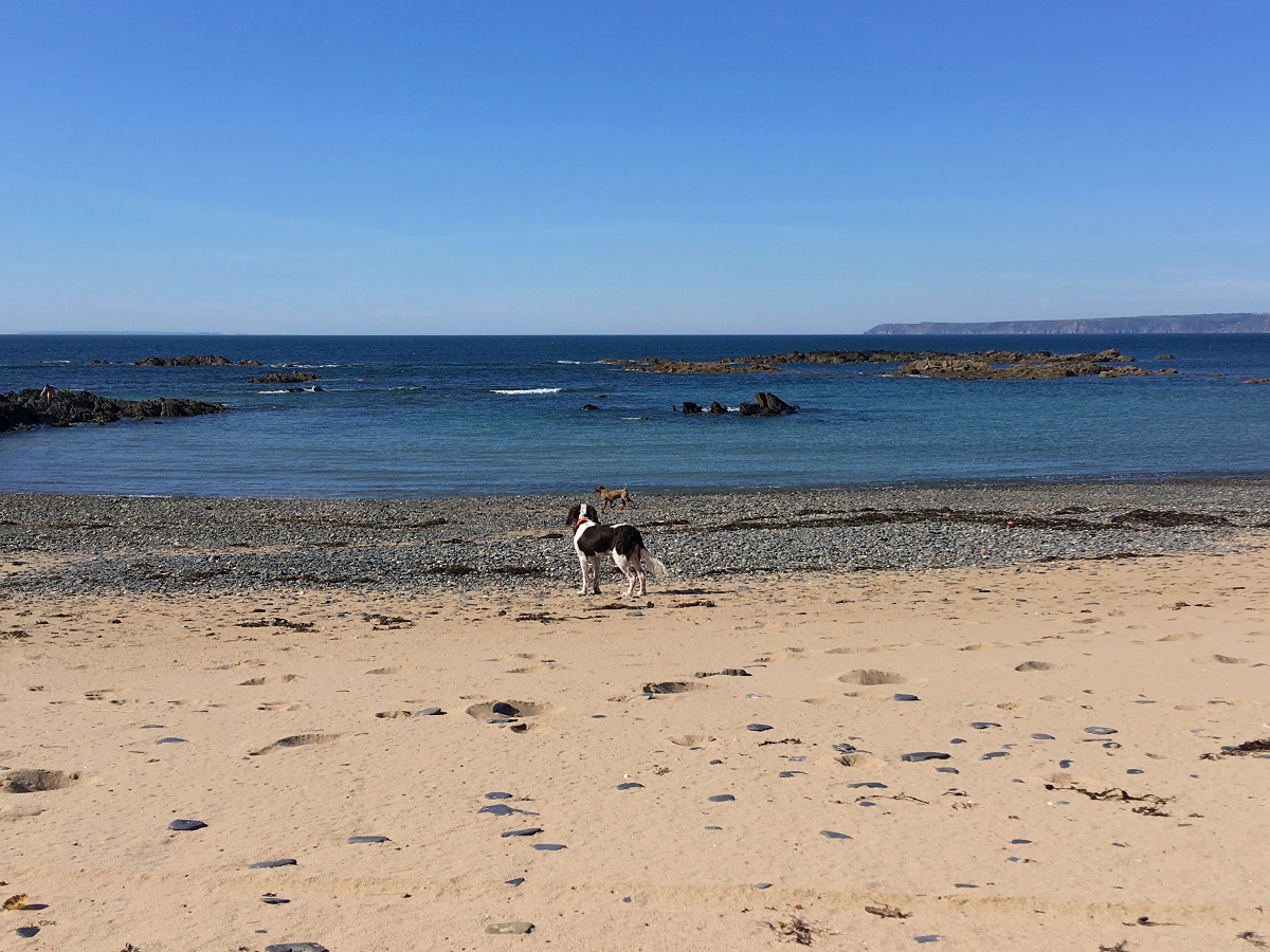 Plage du Platé, Tréauville - photo 3