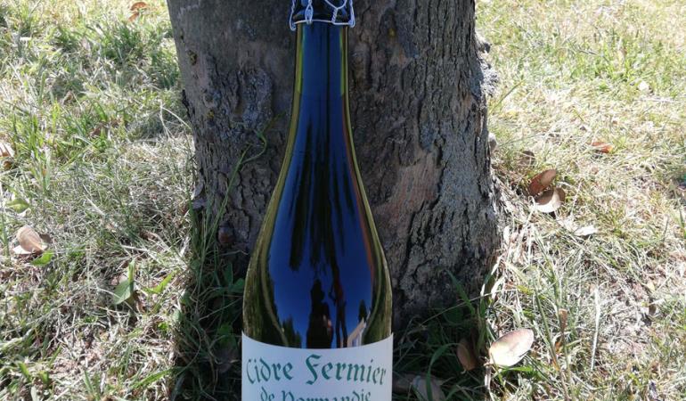 troisgots-cidre-fermier-dudouit troisgots-cidre-fermier-dudouit