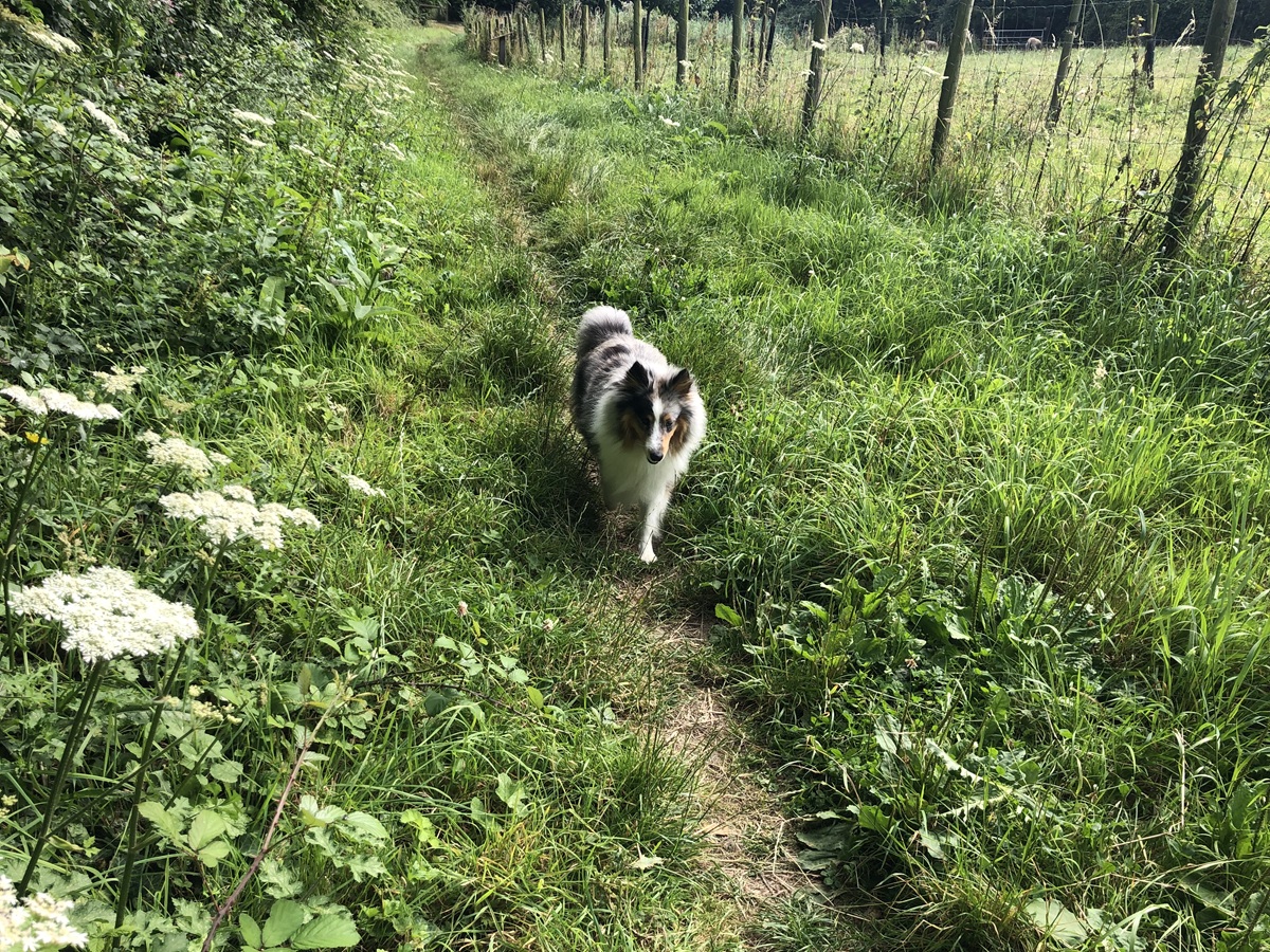Aire de camping-car communale de Luc-sur-Mer - photo 5