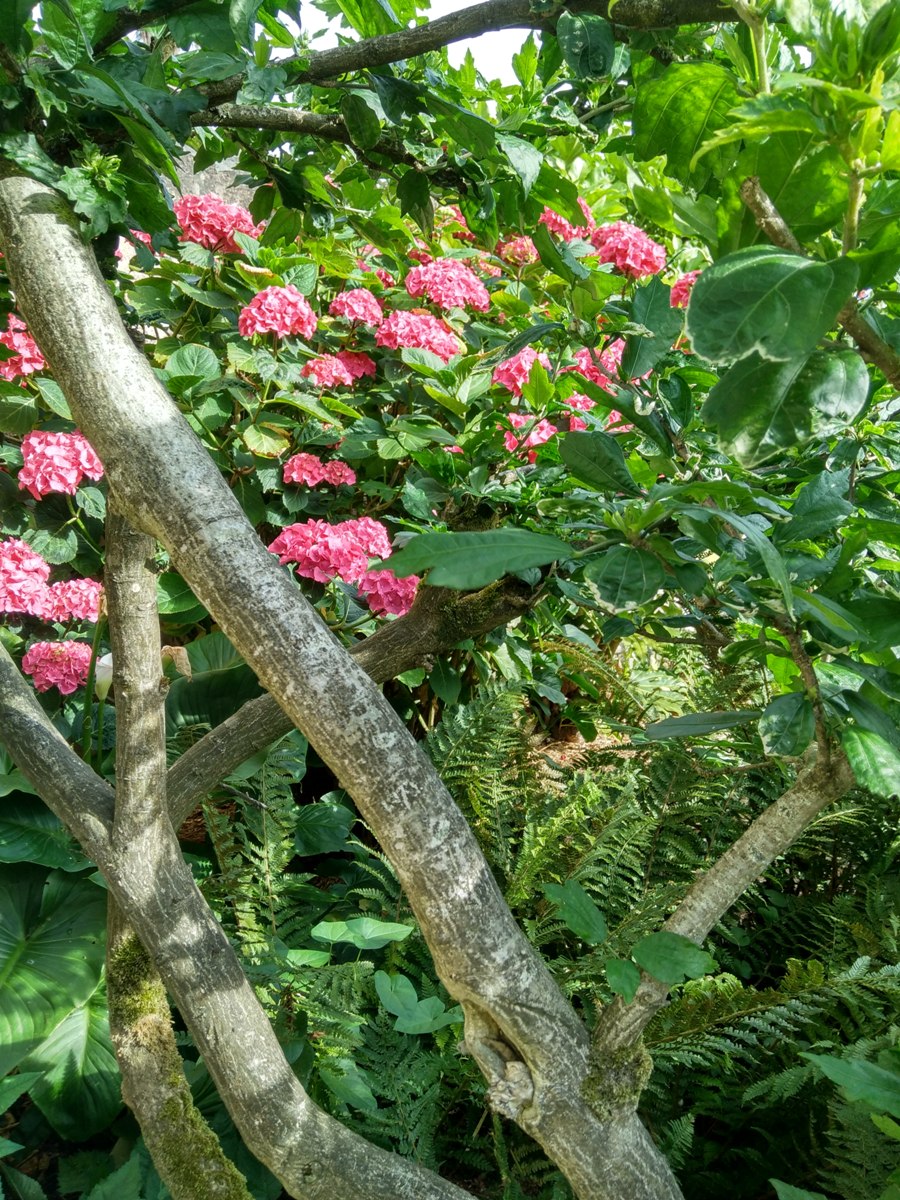 Meublé de tourisme > Au fil du Temps, Valognes - photo 13