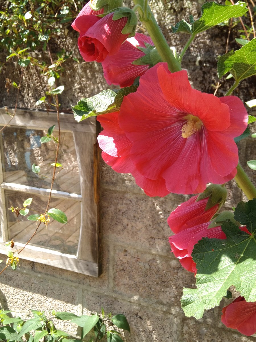 Meublé de tourisme > Au fil du Temps, Valognes - photo 6