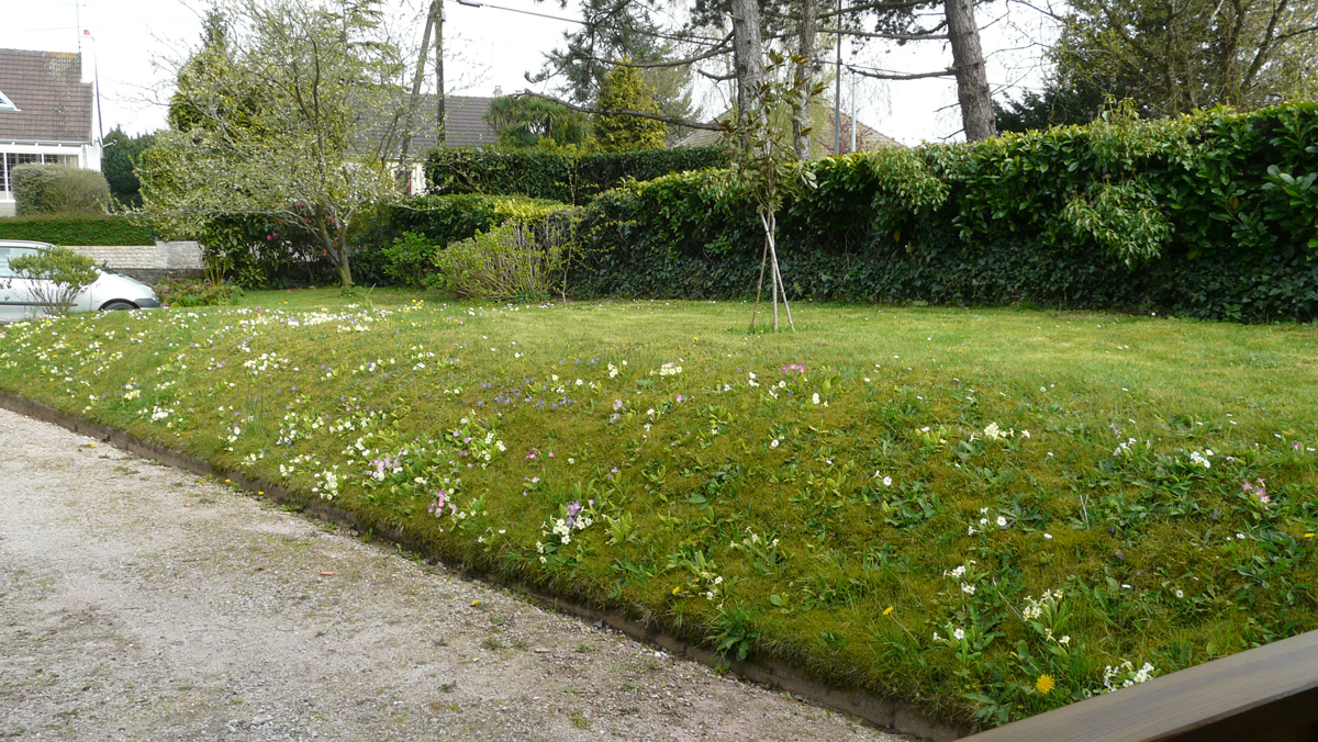 Meublé de tourisme > Didace, Valognes - photo 12