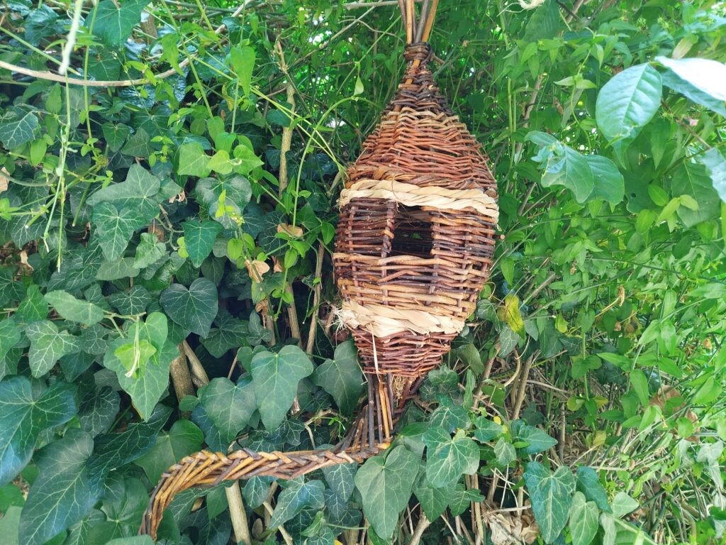 Ateliers Tissage végétal