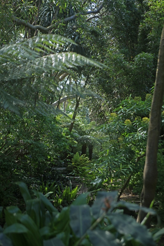 Jardin botanique de Vauville, La Hague