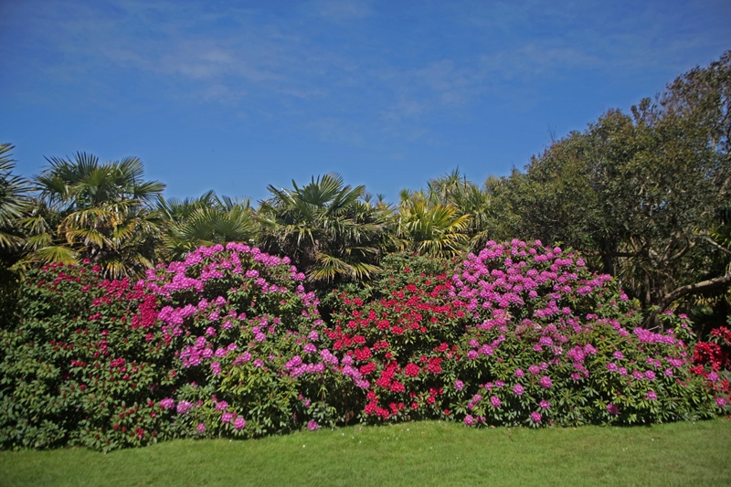 Jardin botanique de Vauville, La Hague - photo 5