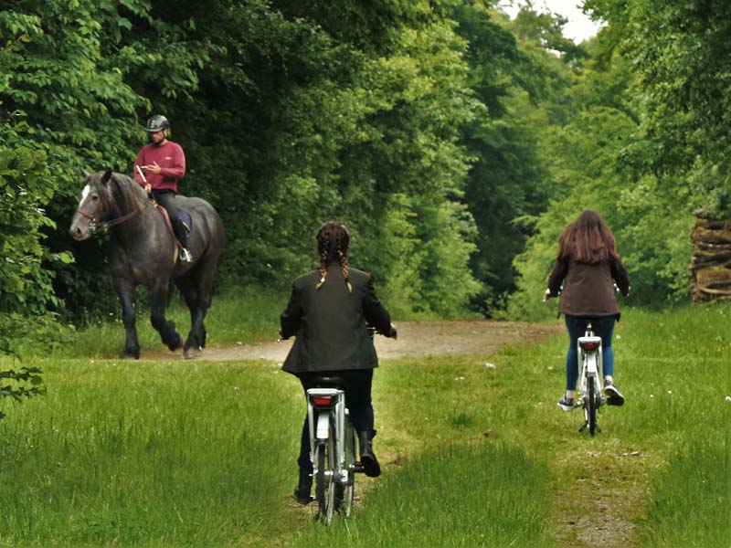 Location de vélos à assistance électrique et golfettes au Haras du Pin