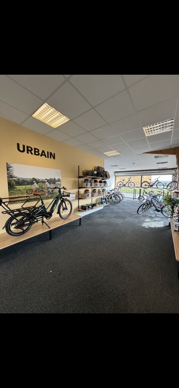 Cyclist, Saint-Pair-sur-Mer - photo 2