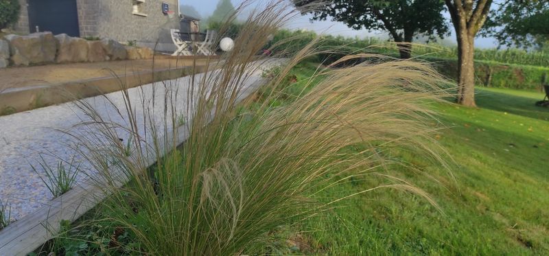 Meublé de tourisme > Villa Les Amarines, La Lucerne-d'Outremer - photo 8