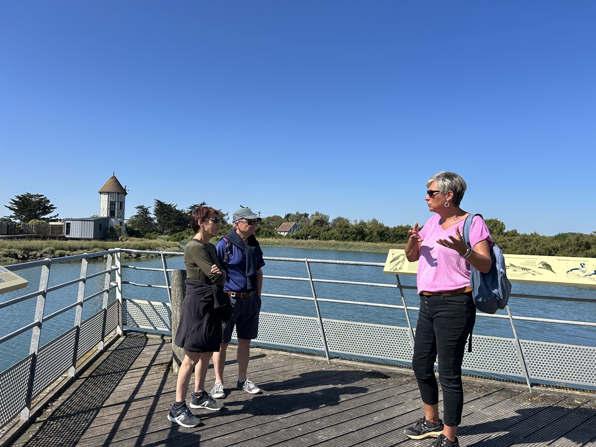 Un port, une île, des huîtres : une histoire courseullaise