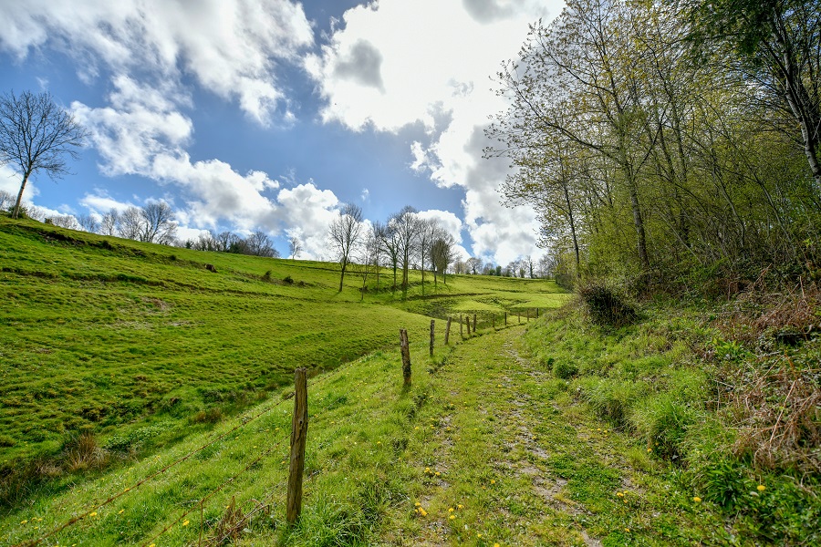 Le val d'Airou, Beauchamps - photo 2