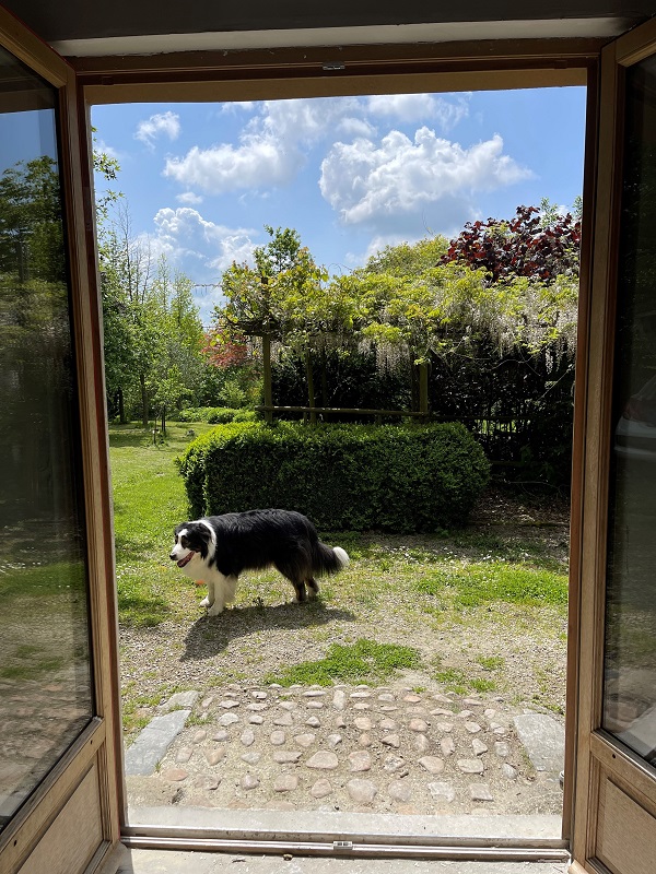 Meublé de tourisme > Le Refuge Mouffet