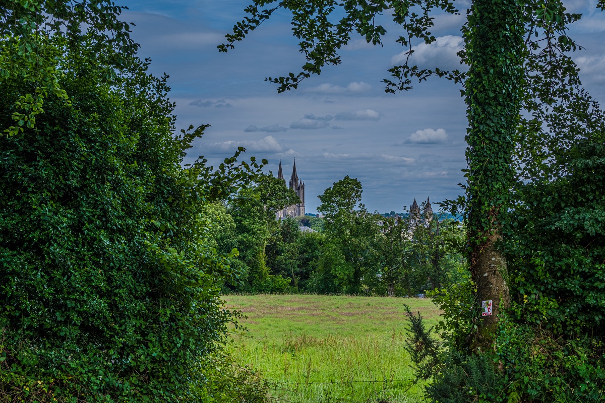 Trail > La vallée du Bulsard