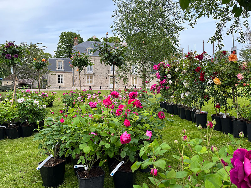 Week End Floral au Manoir du Ribardon