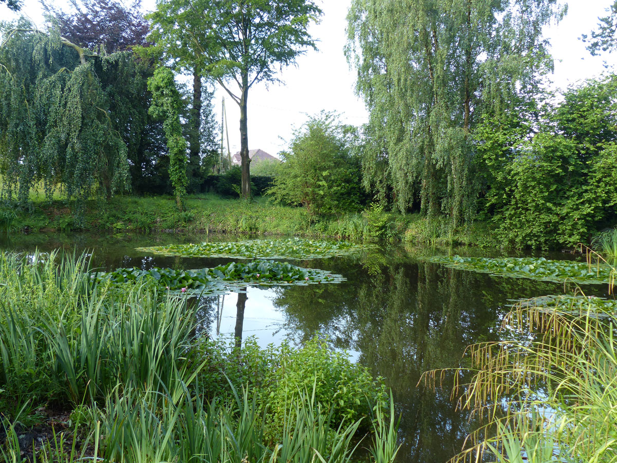 web6-Le-Jardin-Clos---M.-Dr