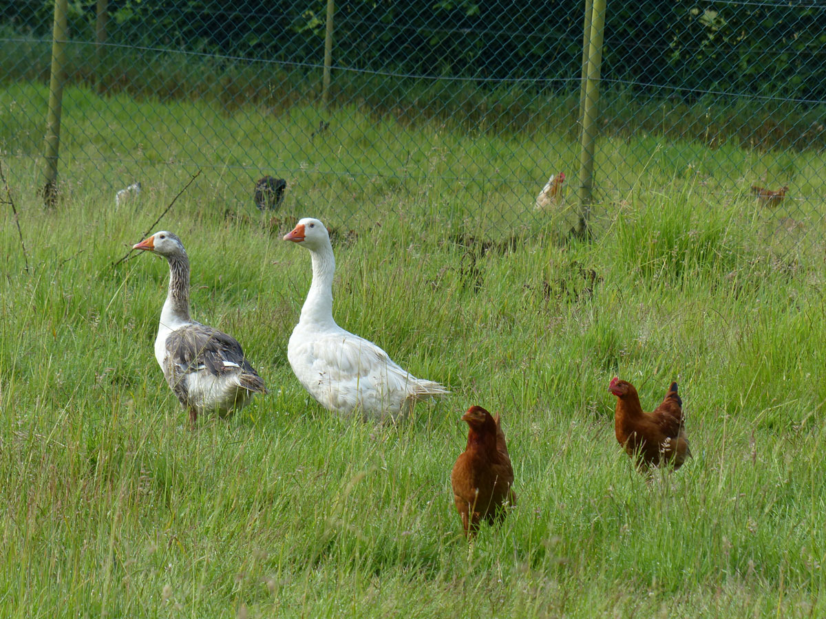 web7-Le-Jardin-Clos---M.-Dr