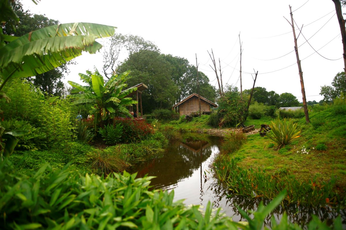Parc Zoologique et Paysager de Champrépus, Champrepus - photo 23